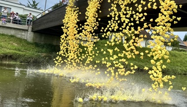 Eine Rekordanzahl Enten schwamm auf dem Binnenkanal