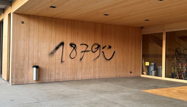 Nach Graffitis an Schulhäusern in Widnau: Die Polizei sucht Zeugen
