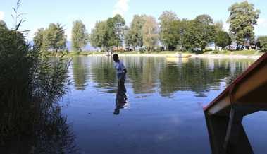 Exotisches tummelt sich im Wasser: Im Baggerli gibt’s Quallen