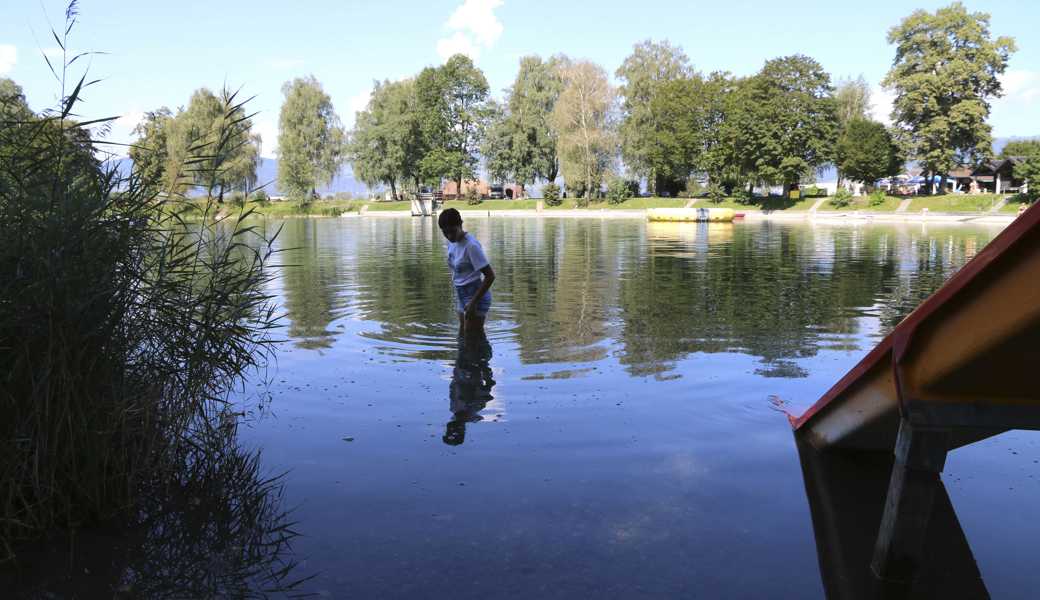 Auf der Suche nach Quallen watete unsere Praktikantin Naïma Bühler durch seichte Stellen im Baggersee. 